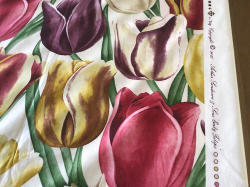 Sanderson early tulips - "early, tulips"