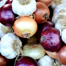 Onion Sets 750g Mix + 3 White