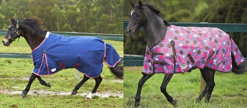 Lightweight turnout pony rug - pony,