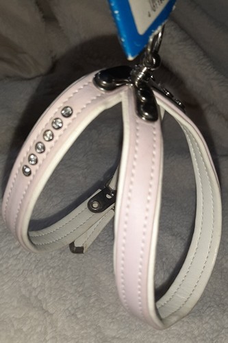 Trixie hunter diamante dog pup - trixie,
