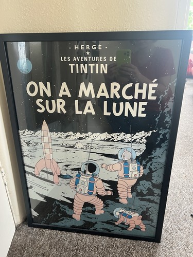 Tintin picture framed 53cm 21 - tintin, /21