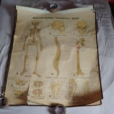 Vintage Denoyer Geppert