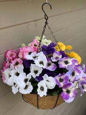 Colourful Pansies Garden