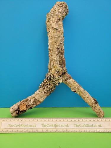 Cork bark branch 37cm snake - cork,