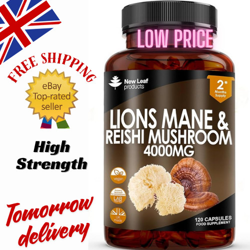 Lions mane reishi mushroom - mane, &