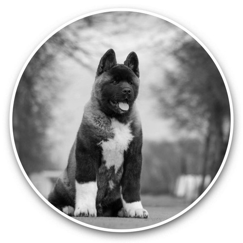 Vinyl stickers 10cm - stickers, (bw)