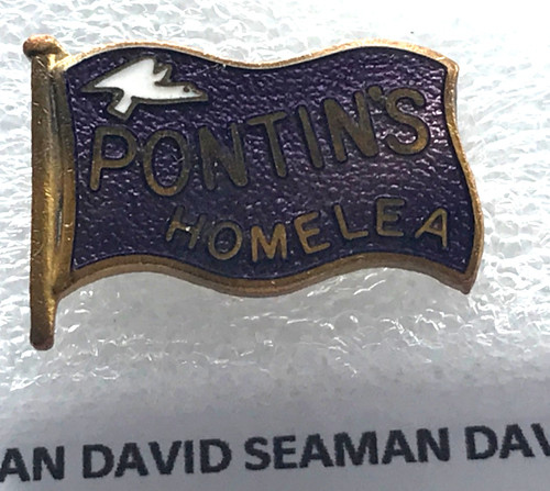 Homelea dingley enamel - homelea,