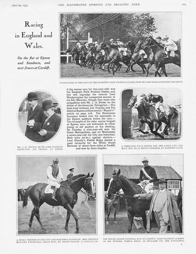 Horse racing pebble - racing, ridge