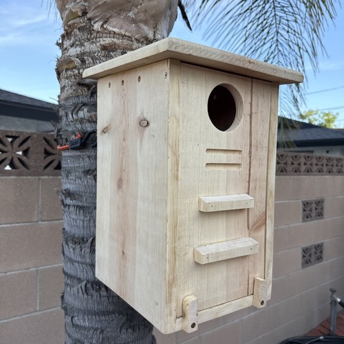 Large squirrel nesting house - squirrel,