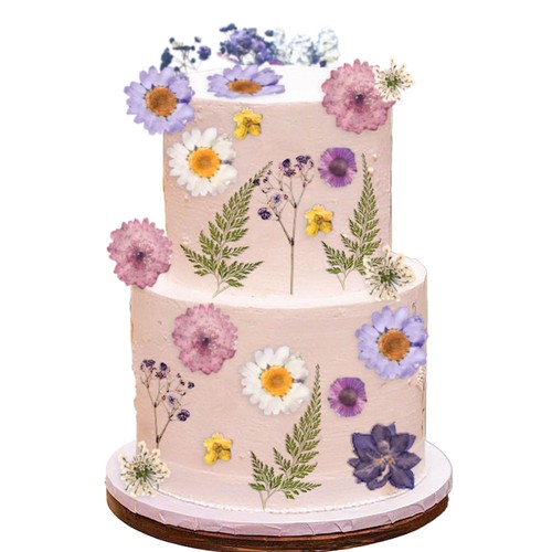 Jevenis purple wildflower - jevenis,