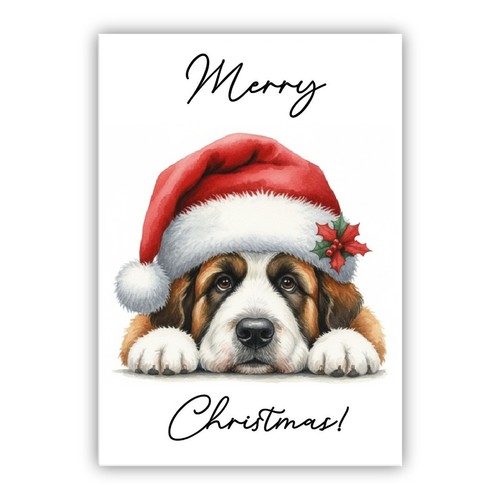 Bernard dog christmas - st,