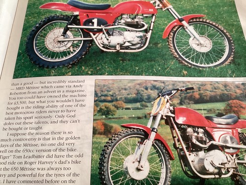 Triumph metisse pat french - triumph,