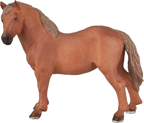 Mojo suffolk punch mare - punch, horse