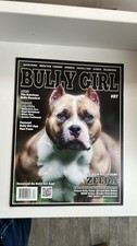Bully Girl Magazine #87 Zelda