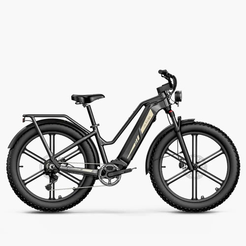 Fiido titan fat tire - fiido,