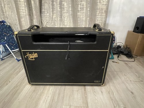 Hayden lead electric - 80, valve