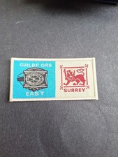 Scout Badge Uk DISTRICT Double