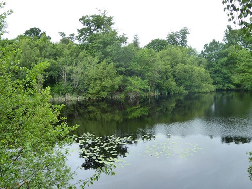 Photo 6x4 the lake - lake,, wood
