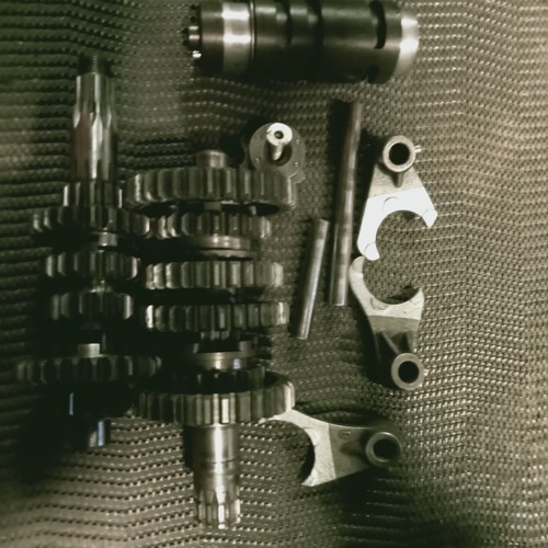 Beta rev 250 270 - beta,