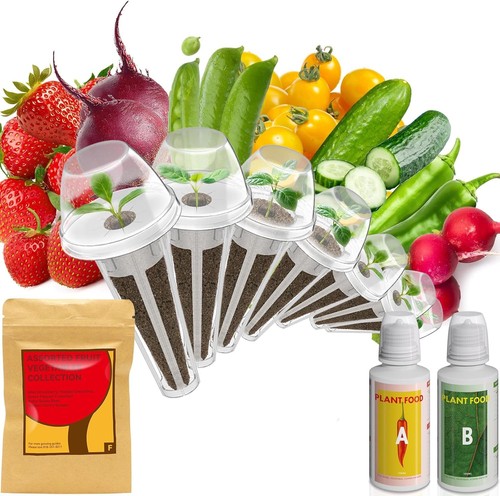 Fruit seed pod kit - seed, for