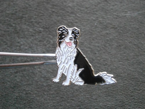 Seated welsh border - seated, collie