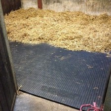4 Mat Special | 4 x Stable