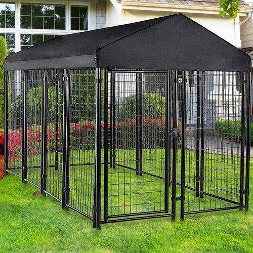 Oversize outdoor pet - oversize, dog