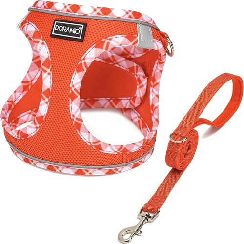 Step dog harness - harness, leash