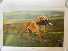 Working Cocker Spaniel Limited Edition Giclee  Print