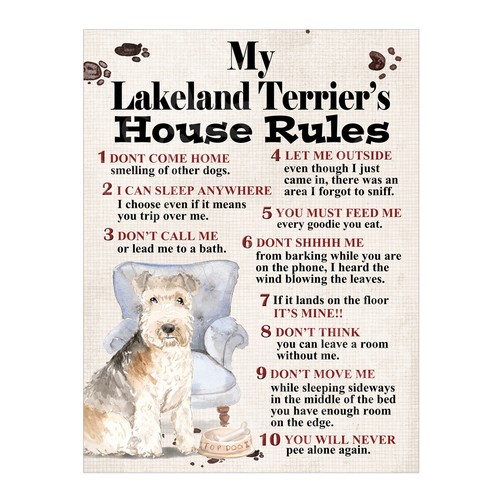 Lakeland terrier s house - lakeland, terrier's