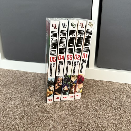 One punch man - one,