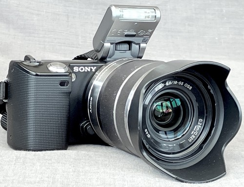 Sony nex 2mp camera - sony, 14.2mp