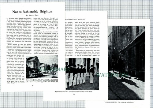 Brighton sussex howlett - brighton,
