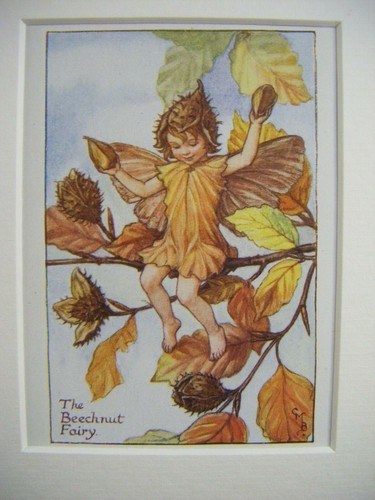 Vintage flower fairies - vintage,