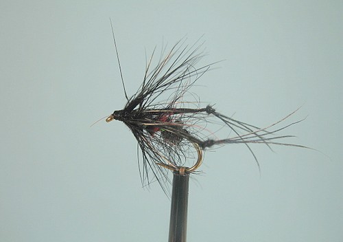 Bibio hopper fly fishing - x,