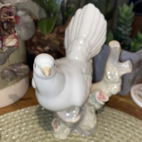 Porceval dove branch - porceval,