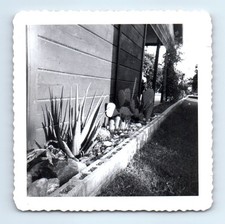 Old Vintage Square Photo