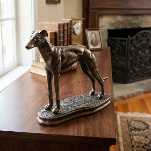 Male standing greyhound - standing,