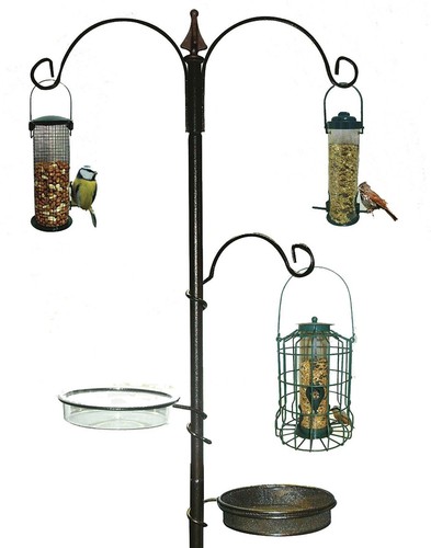 Garden wild bird - garden, feeding
