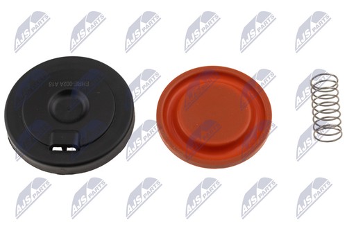 Fits nty bpz re 002a - ✅fits,