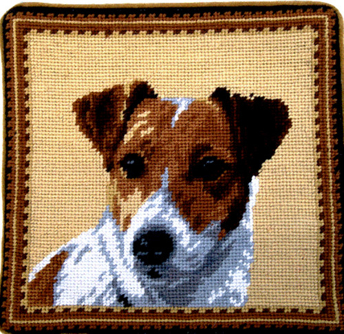 Jack russell terrier dog - jack,