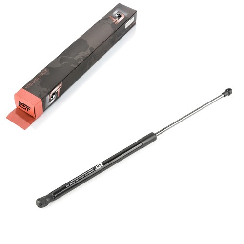 Gas pressure spring hood