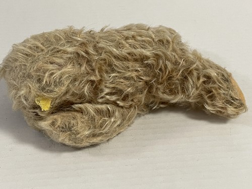 Old steiff teddy bear - old,