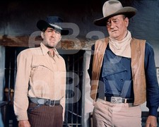 The Sons of Katie Elder (1965)