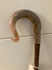 Rams Horn Shepherds Crook