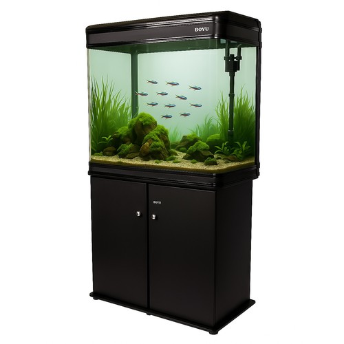 Boyu aquarium fish - fish, tank