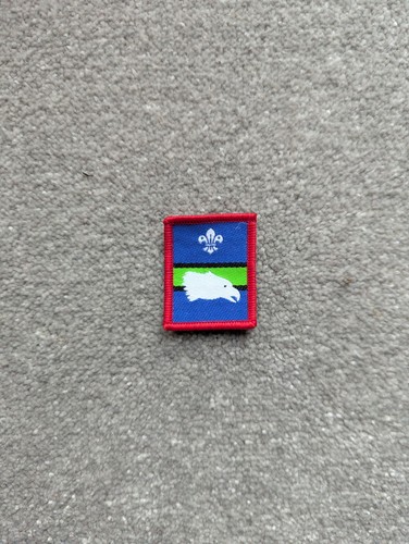 Scout eagles patrol badge - eagles, old