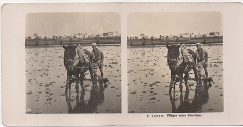 Vintage stereo photo 18x9 - vintage,