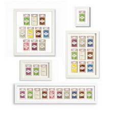 Ridanco White Graded Card