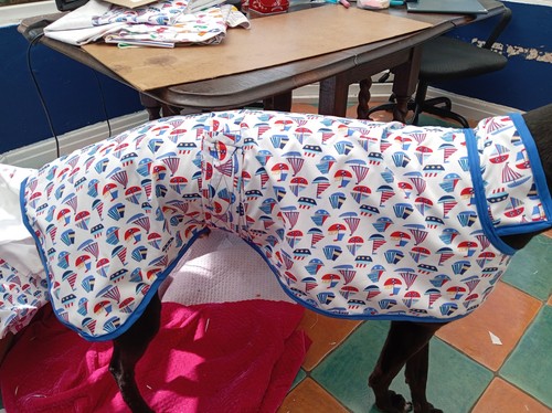Handmade greyhound jacket - handmade,